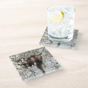 Cutest Baby Animals Moose Calf Glass Coaster
