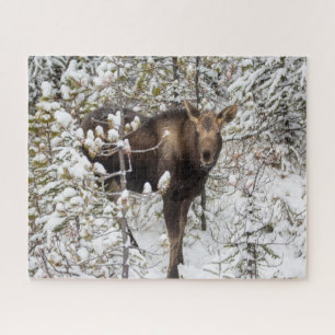 Cutest Baby Animals Moose Calf Jigsaw Puzzle