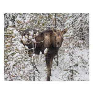 Cutest Baby Animals Moose Calf Jigsaw Puzzle