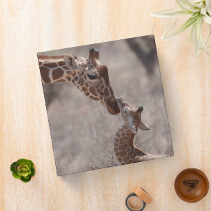 Cutest Baby Animals Mother and Baby Giraffe 3 Ring Binder