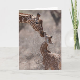 Cutest Baby Animals Mother and Baby Giraffe Card