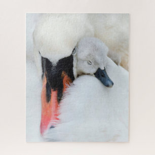 Cutest Baby Animals   Mother & Baby Mute Swan Jigsaw Puzzle