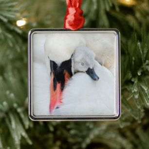 Cutest Baby Animals Mother & Baby Mute Swan Metal Ornament