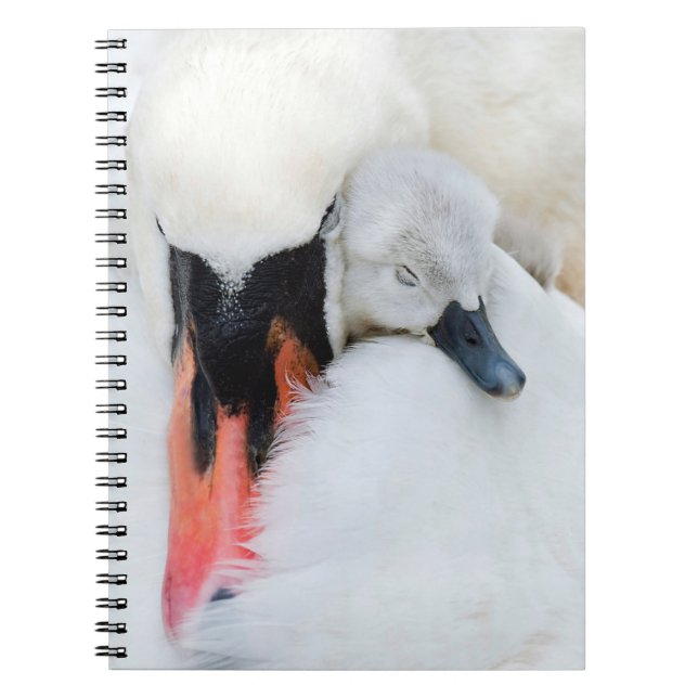 Cutest Baby Animals | Mother & Baby Mute Swan Notebook (Front)