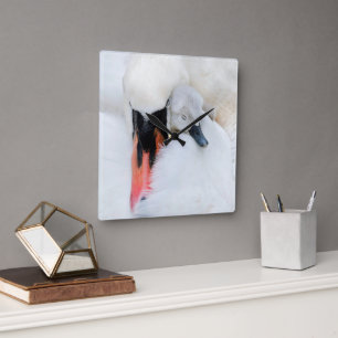 Cutest Baby Animals Mother & Baby Mute Swan Square Wall Clock
