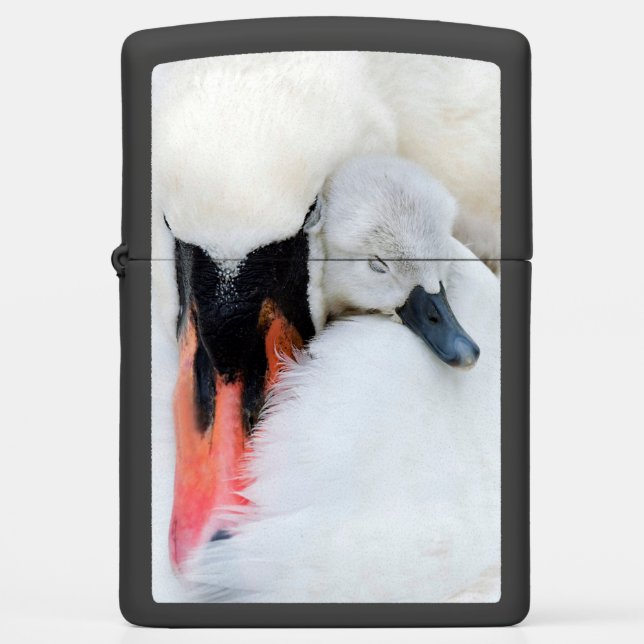Cutest Baby Animals | Mother & Baby Mute Swan Zippo Lighter (Front)