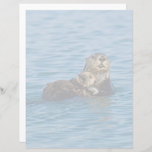Cutest Baby Animals | Mother & Baby Sea Otter (Front/Back)