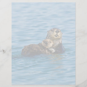 Cutest Baby Animals Mother & Baby Sea Otter