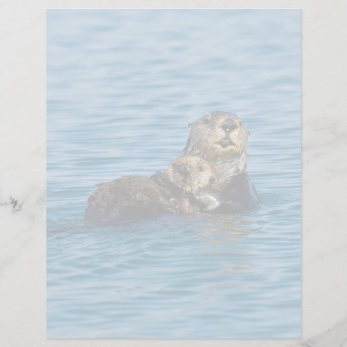 Cutest Baby Animals  Mother  Baby Sea Otter