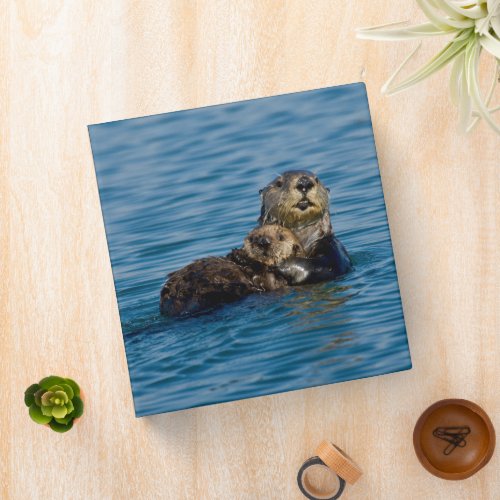 Cutest Baby Animals  Mother  Baby Sea Otter 3 Ring Binder