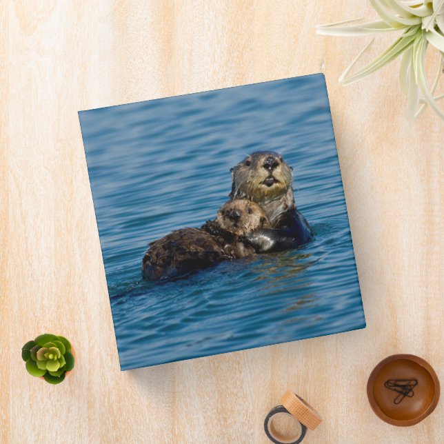 Cutest Baby Animals | Mother & Baby Sea Otter 3 Ring Binder (In Situ)