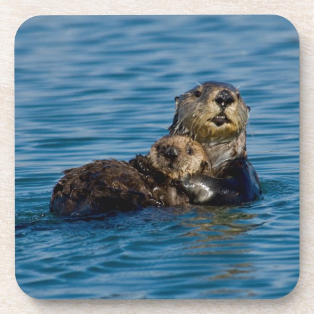 Cutest Baby Animals | Mother & Baby Sea Otter Beverage Coaster (Front)