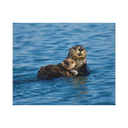 Cutest Baby Animals | Mother &amp; Baby Sea Otter Canvas Print