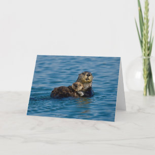 Cutest Baby Animals   Mother & Baby Sea Otter Card