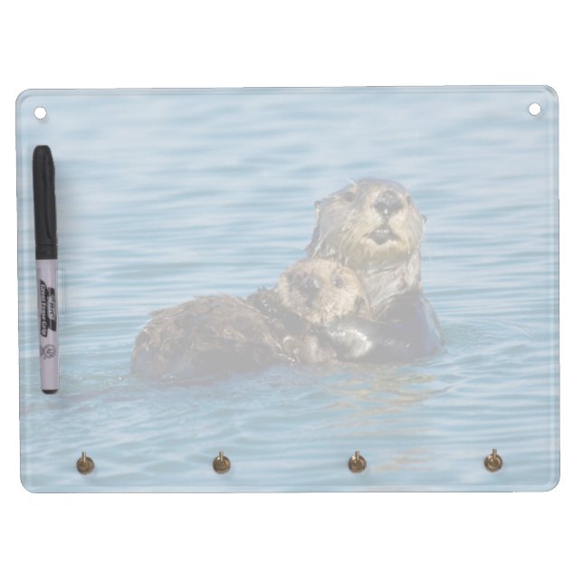 Cutest Baby Animals | Mother & Baby Sea Otter Dry Erase Board With Keychain Holder (Front)