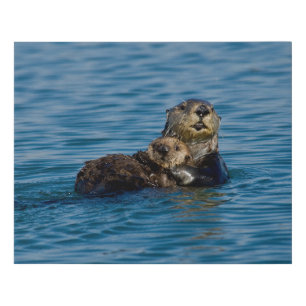 Cutest Baby Animals   Mother & Baby Sea Otter Faux Canvas Print