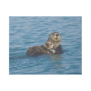 Cutest Baby Animals Mother & Baby Sea Otter Gallery Wrap