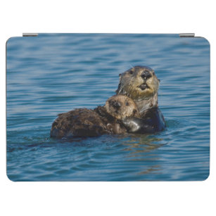 Cutest Baby Animals   Mother & Baby Sea Otter iPad Air Cover