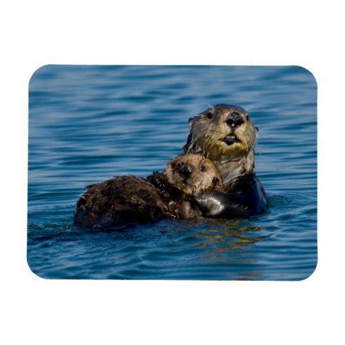 Cutest Baby Animals  Mother  Baby Sea Otter Magnet