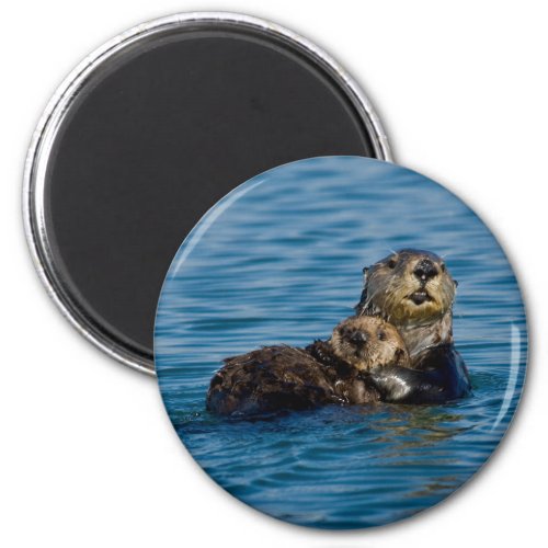 Cutest Baby Animals  Mother  Baby Sea Otter Magnet