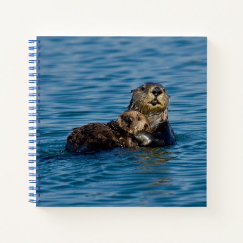 Cutest Baby Animals  Mother  Baby Sea Otter Notebook