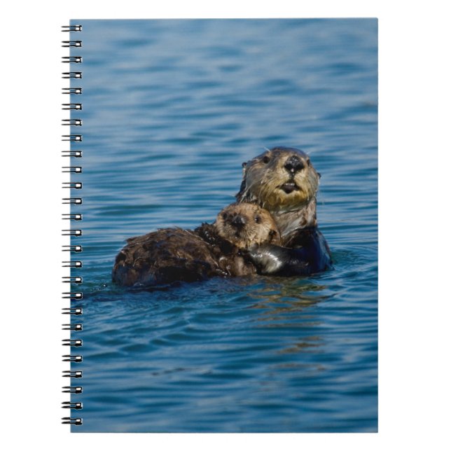 Cutest Baby Animals | Mother & Baby Sea Otter Notebook (Front)