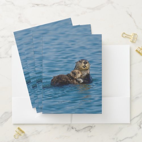 Cutest Baby Animals  Mother  Baby Sea Otter Pocket Folder