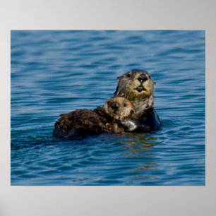 Cutest Baby Animals Mother & Baby Sea Otter Poster