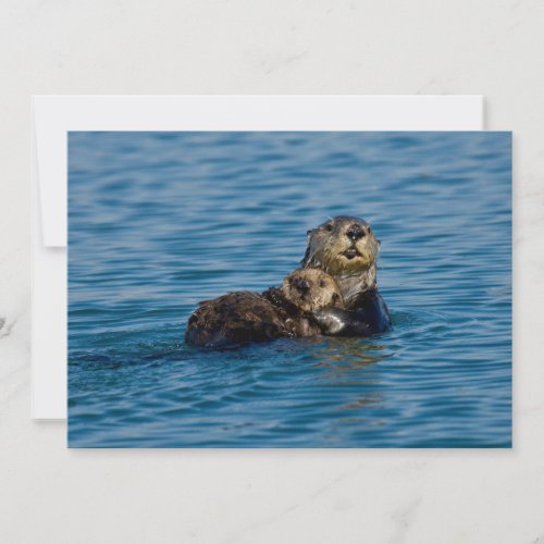 Cutest Baby Animals  Mother  Baby Sea Otter Thank You Card