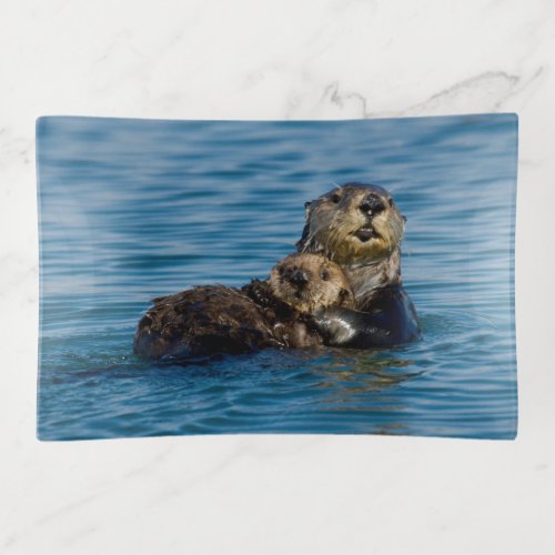 Cutest Baby Animals  Mother  Baby Sea Otter Trinket Tray