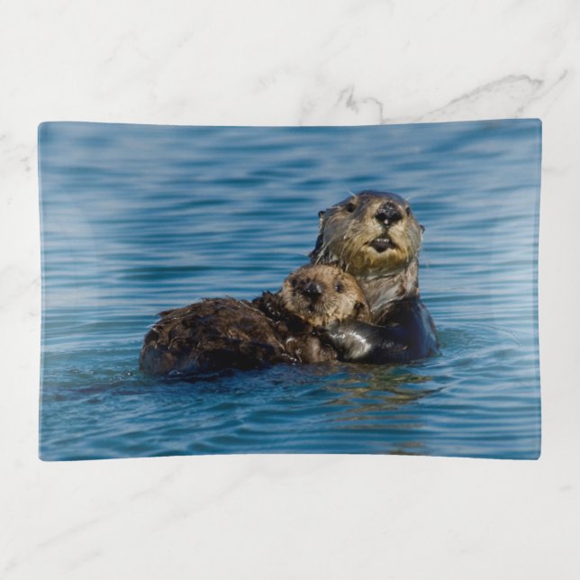 Cutest Baby Animals | Mother & Baby Sea Otter Trinket Tray (Front)