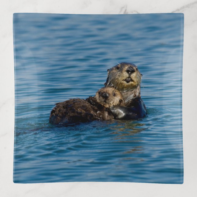 Cutest Baby Animals | Mother & Baby Sea Otter Trinket Tray (Front)