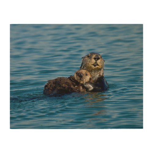 Cutest Baby Animals  Mother  Baby Sea Otter Wood Wall Art