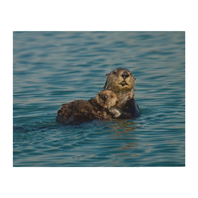 Cutest Baby Animals | Mother & Baby Sea Otter Wood Wall Art (Front)