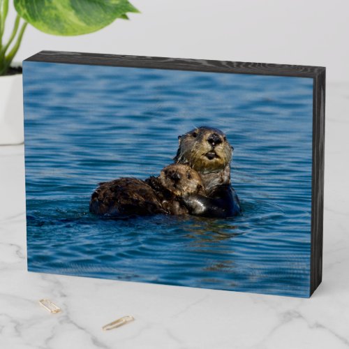 Cutest Baby Animals  Mother  Baby Sea Otter Wooden Box Sign