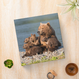 Cutest Baby Animals   Mother Bear & Cubs 3 Ring Binder