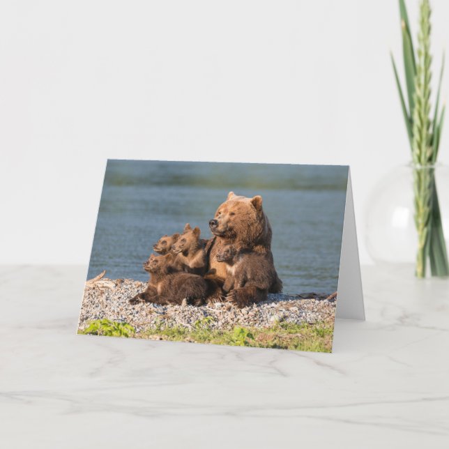 Cutest Baby Animals | Mother Bear & Cubs Card (Front)