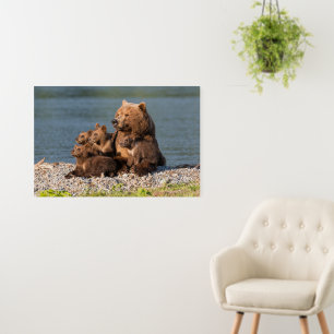 Cutest Baby Animals   Mother Bear & Cubs Foam Board