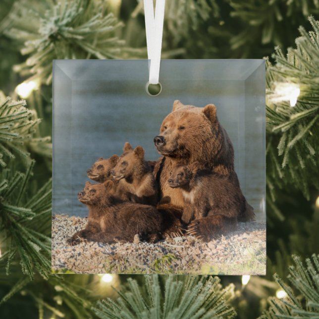 Cutest Baby Animals | Mother Bear & Cubs Glass Ornament (Insitu)