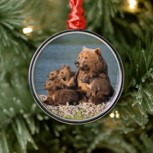 Cutest Baby Animals  Mother Bear  Cubs Metal Ornament