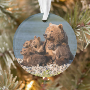 Mama Bear & Cubs Glitter Ornament