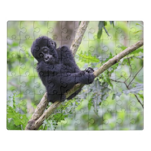 Cutest Baby Animals  Mountain Gorilla Baby Jigsaw Puzzle