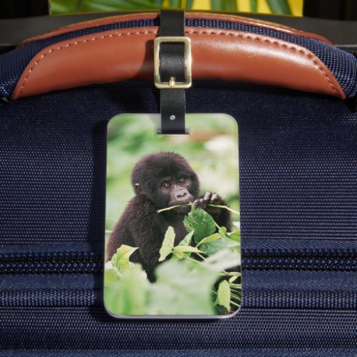 Cutest Baby Animals  Mountain Gorilla Baby Luggage Tag
