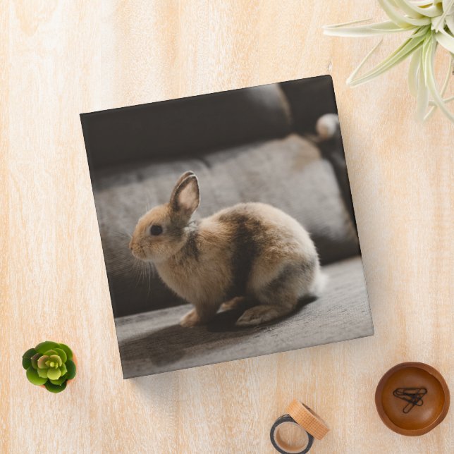Cutest Baby Animals | Netherland Dwarf Rabbit 3 Ring Binder (In Situ)