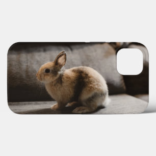 Cutest Baby Animals Netherland Dwarf Rabbit iPhone 13 Case
