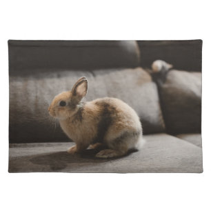 Cutest Baby Animals Netherland Dwarf Rabbit Cloth Placemat