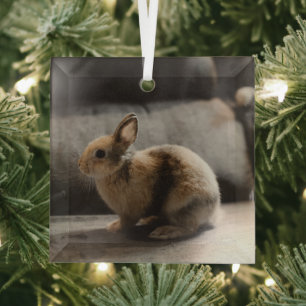 Cutest Baby Animals Netherland Dwarf Rabbit Glass Ornament