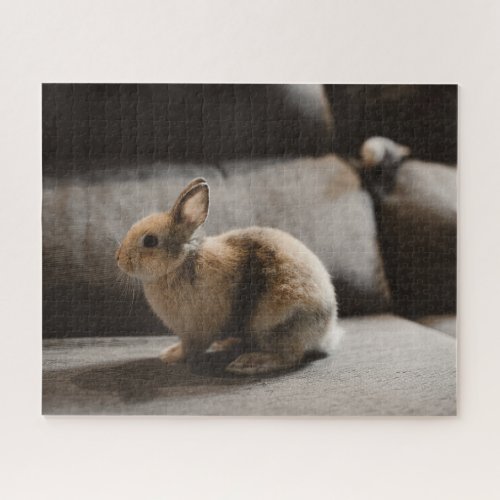 Cutest Baby Animals  Netherland Dwarf Rabbit Jigsaw Puzzle