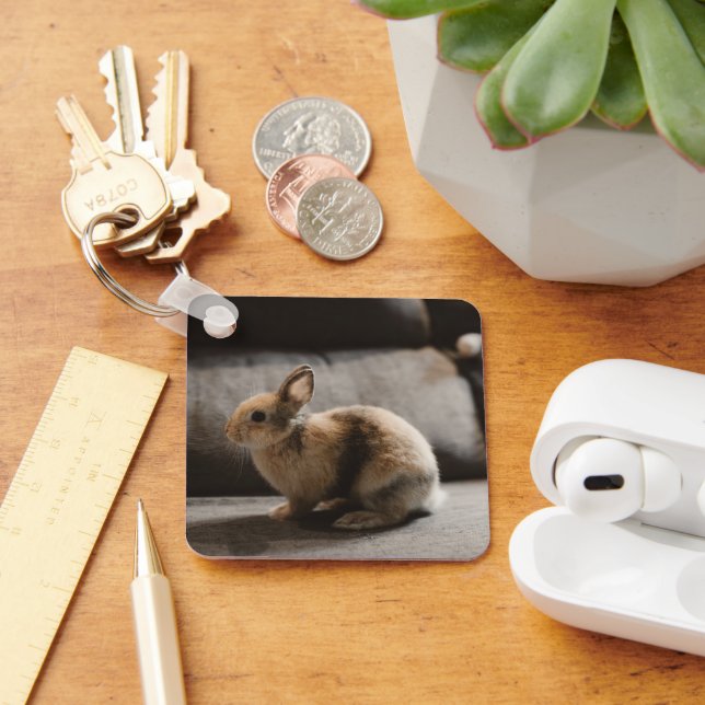 Cutest Baby Animals | Netherland Dwarf Rabbit Keychain (Desk)