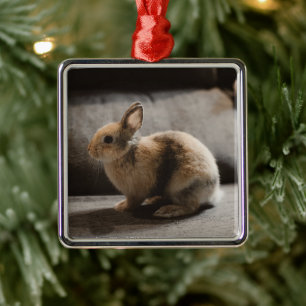 Cutest Baby Animals Netherland Dwarf Rabbit Metal Ornament